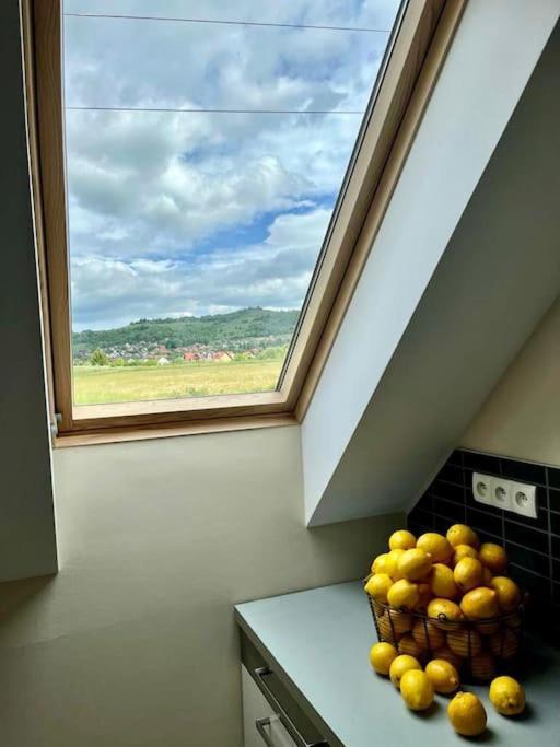 Apartament Hemingwaya Jelenia Góra Exterior foto